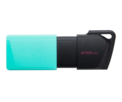 PenDrive KINGSTON DataTraveler Exodia M 256GB USB3.2